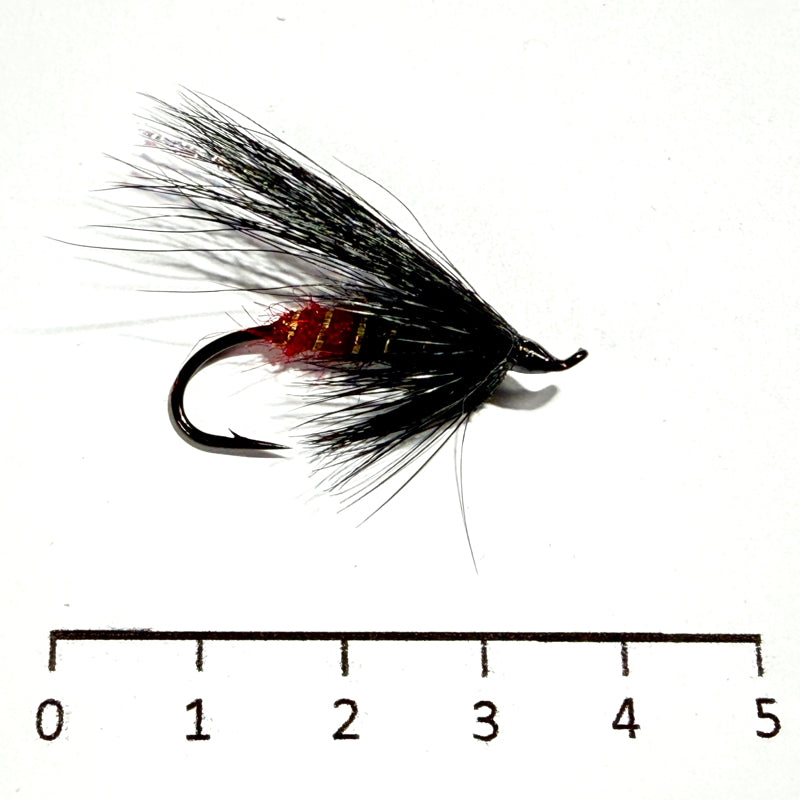 Noyées noir cul rouge Migrateurs