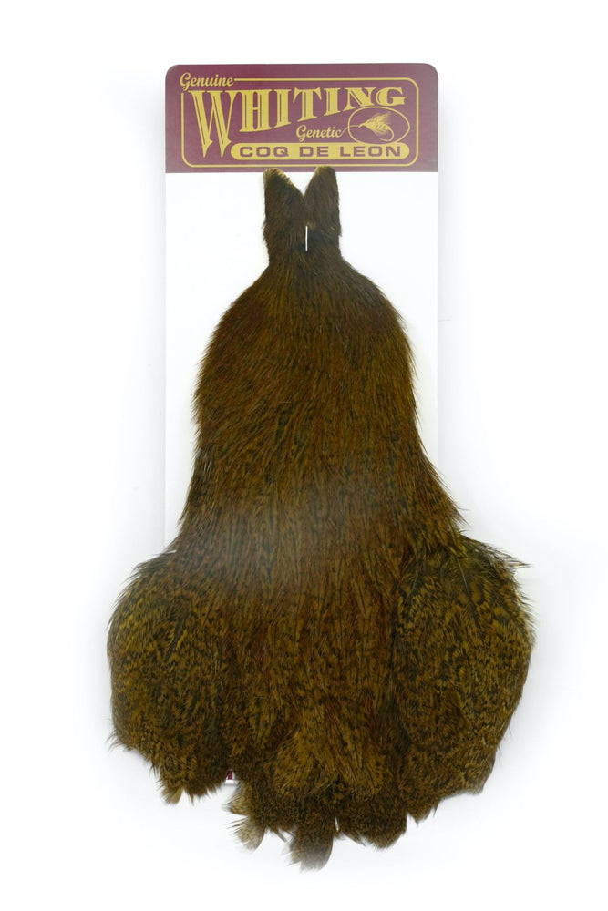 Coq de Leon Whiting Hen Cape olive cuivre Speckled