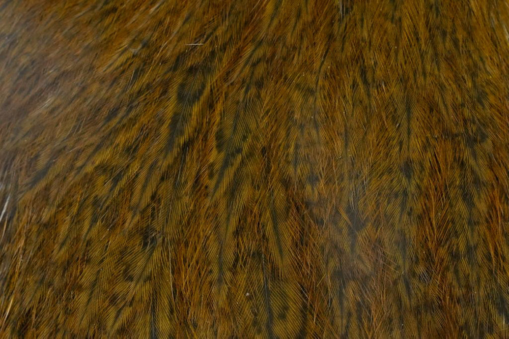 Coq de Leon Whiting Hen Cape olive cuivre Speckled