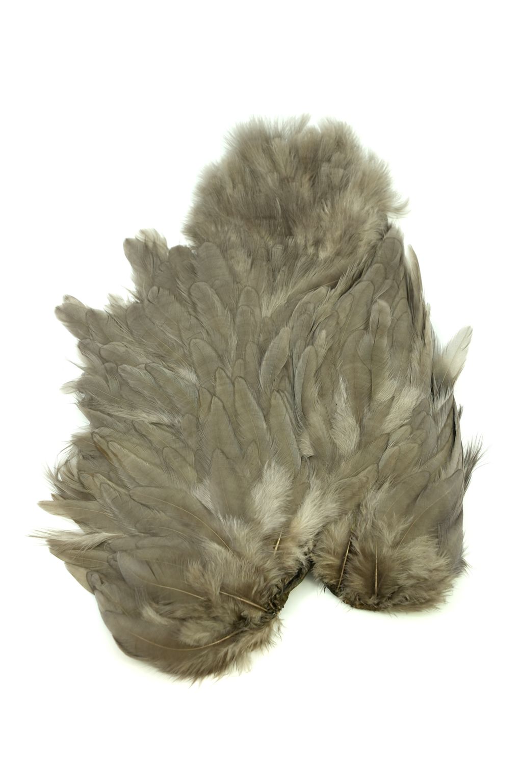 Whiting - Rooster Saddle SH/C