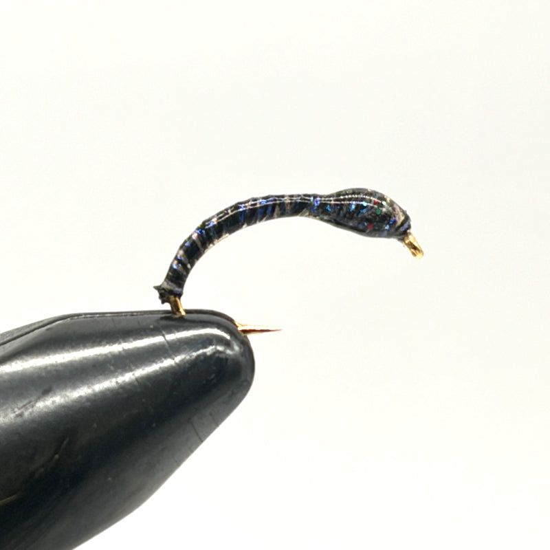 Chironome Iridescent Bleu Nuit H13