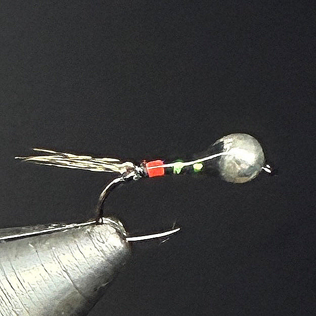 Nymphe tungstène "cul rouge" argent