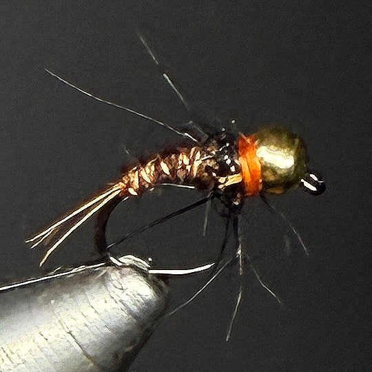 Nymphe tungstène OR 6
