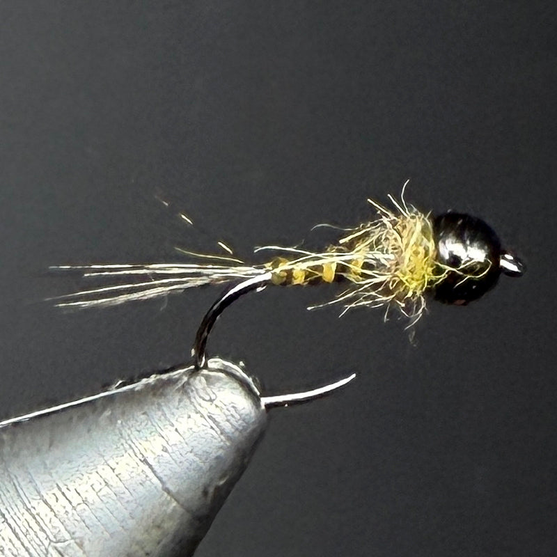 Nymphe olive quill NA