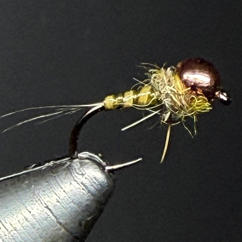Nymphe olive quill cuivre