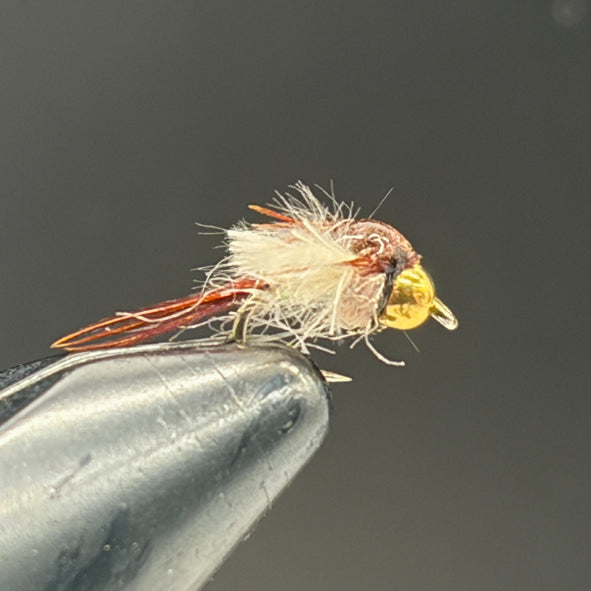 Nymphe Tungstène Sac Alaire