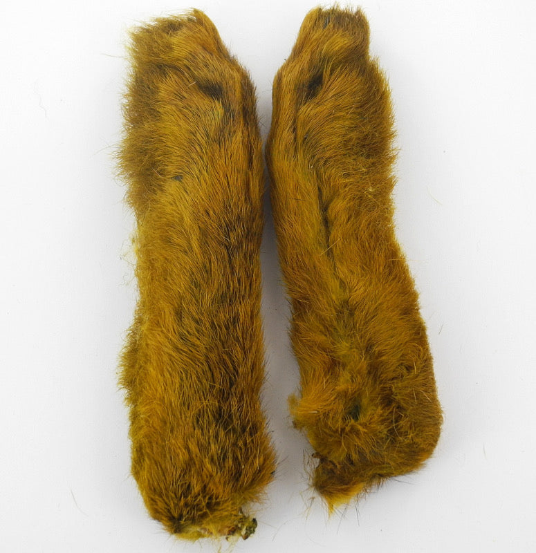 Pattes de lièvre de Patagonie