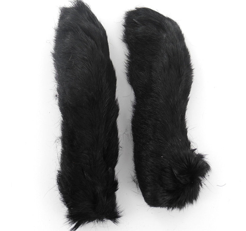 Pattes de lièvre de Patagonie