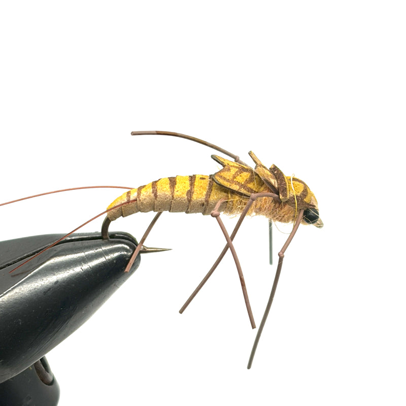 Nymphe Larve de Perle Pates Elastiques