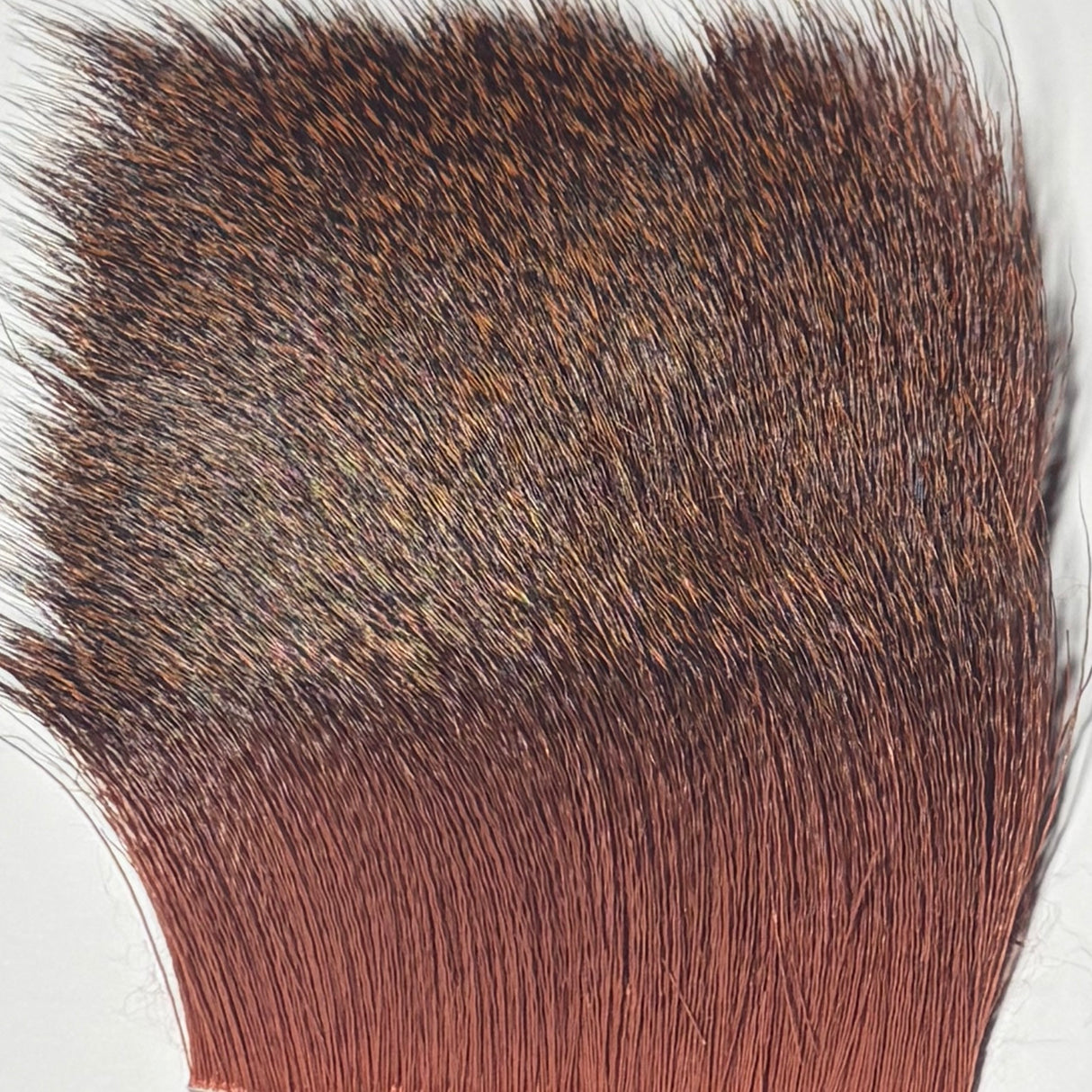 Poils de Chevreuil HENDS