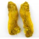 Pattes de lièvre Patagonie jaune