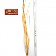 Lancettes Whiting 100'S grizzly ginger