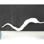 Dragon Tail  UV2 Hareline blanc X5