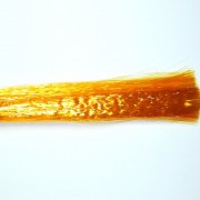 Fine Hair Orange-02