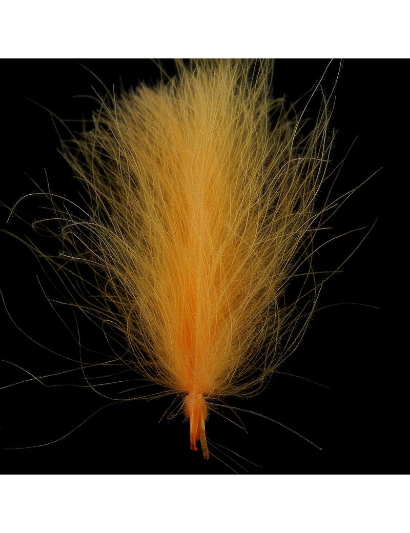 Cul de canard corail orange Cul de canard corail orange