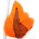 Bucktail orange