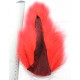 Bucktail rouge