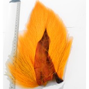 Bucktail orange sunburst