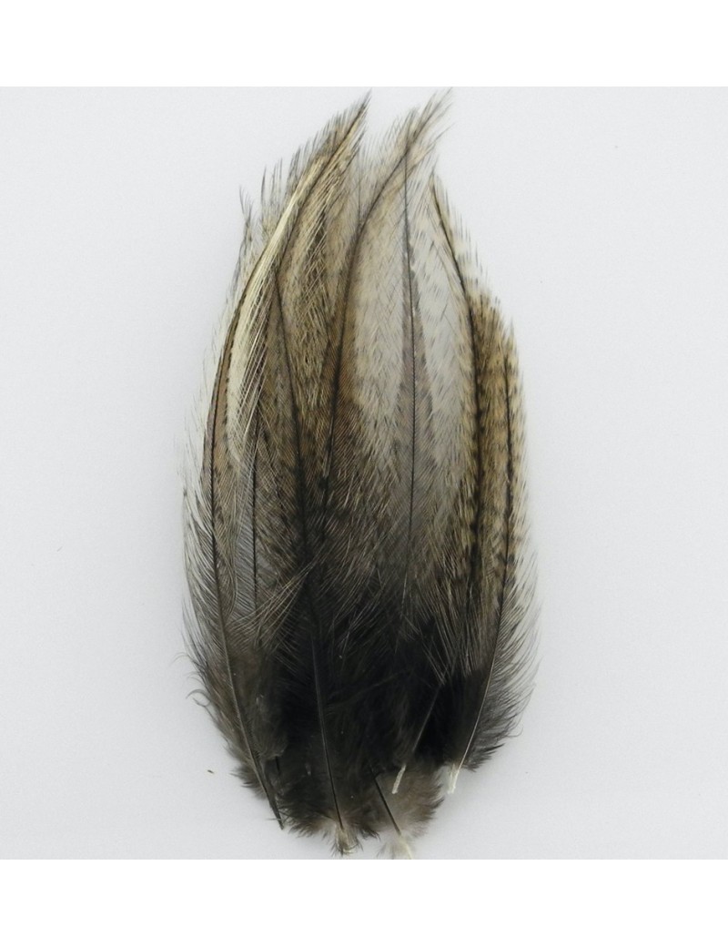 Plumes lancettes Pardo gris brun moyen 