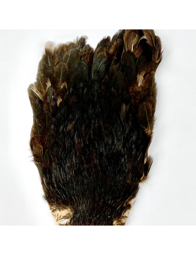 Cou de poule noir Cou de poule noir