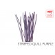 5139_Couleur_Polish Quill violet