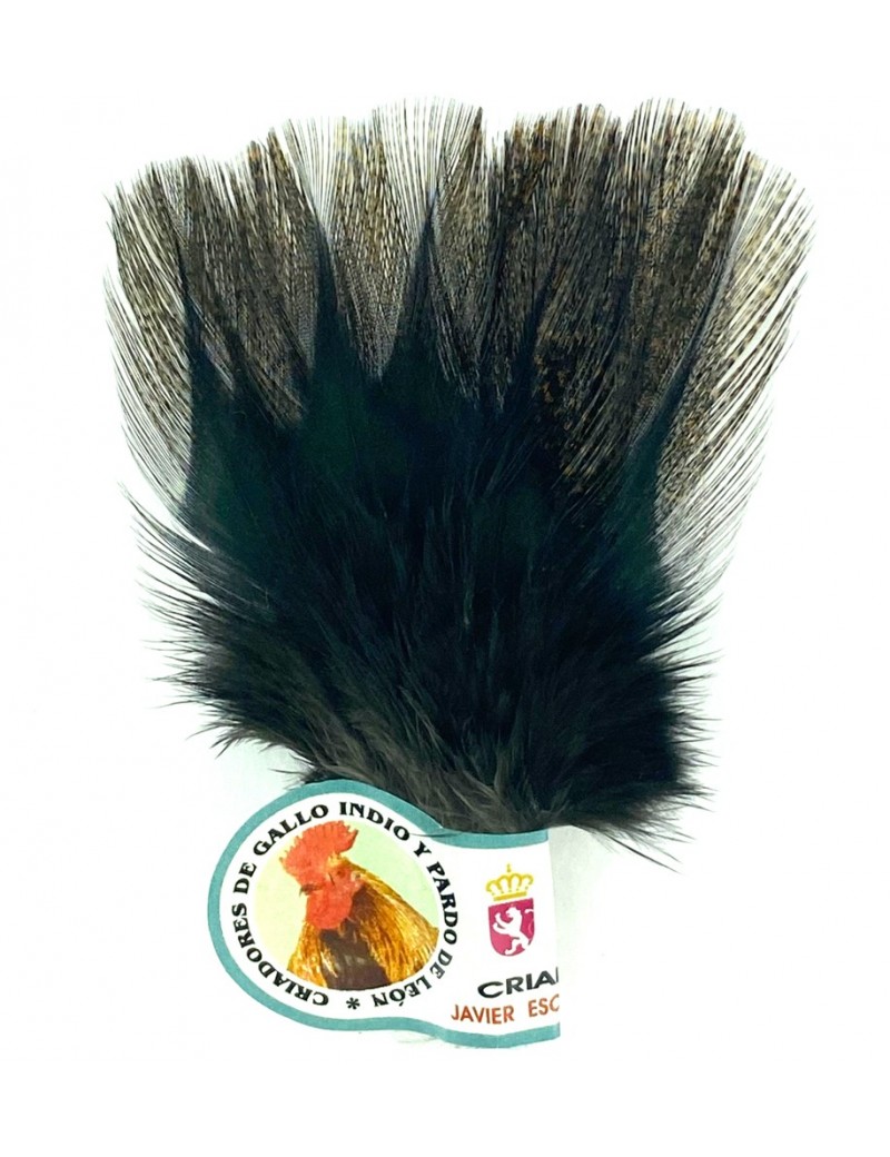 Plumes de coq Sarioso Plumes de coq Sarioso