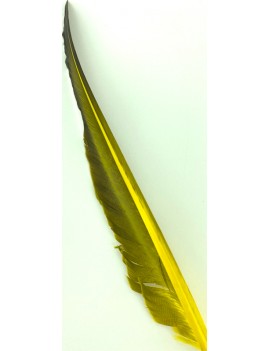 5936_Couleur_Golden olive