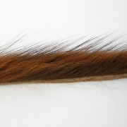 Bandelettes de rat musqué brun roux-35