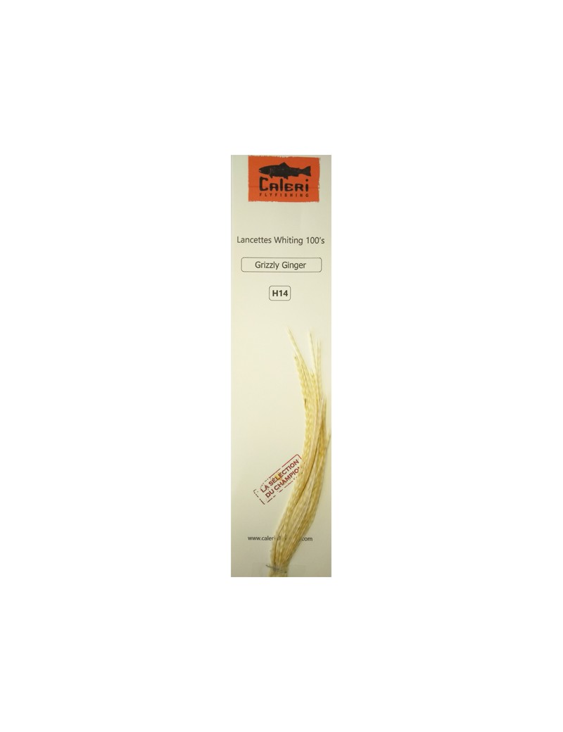 Lancettes Whiting 100'S Grizzly Ginger Lancettes Whiting 100'S Grizzly Ginger