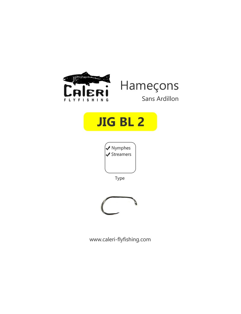 Hameçons JIG BL 2