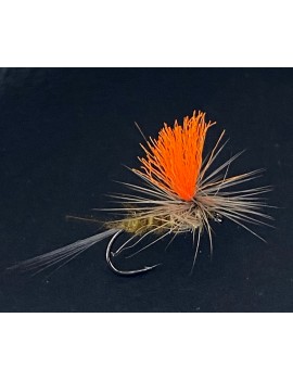 Para olive Toupet orange