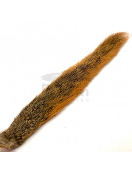 Queue d'écureuil - Fox Tail - Veniard