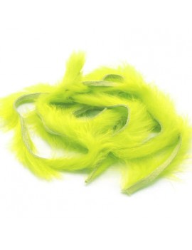 8825_Couleur_Fl. Yellow Chartreuse