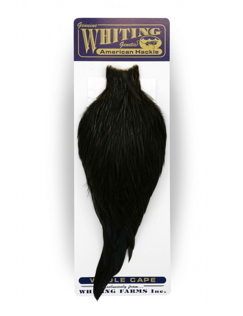 Cou de Coq Withing - American Rooster Cape Cou de Coq Withing - American Rooster Cape