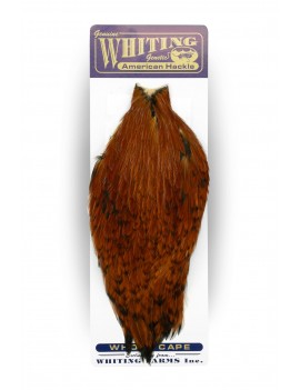 Cou de Coq Withing - American Rooster Cape