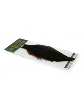 Cou de Poule Whiting Herbert Miner Wet Fly Hackle