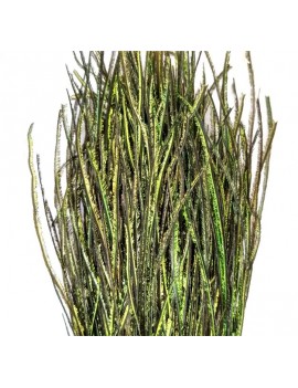 10163_Couleur_vert-32