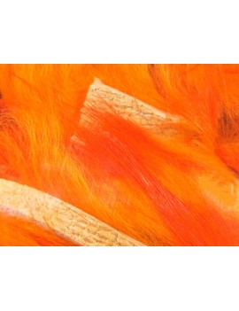 10181_Couleur_Orange Feu - Fluo Orange