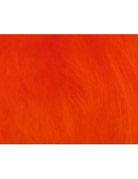 10274_Couleur_Fl Orange