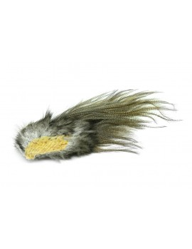 Lancettes CDL Euro Nymph  Pardo whiting
