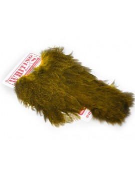 12029_Couleur_Jaune Olive