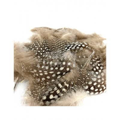 Perdrix / Grouse / Autres
