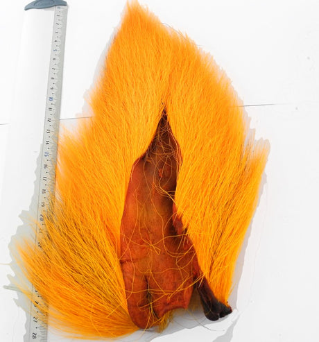 BUCKTAIL