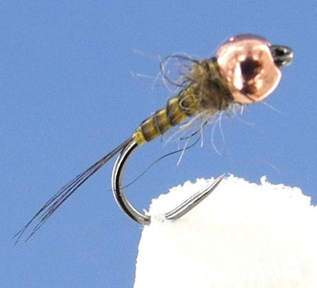 Nymphes