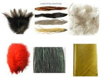 Plumes