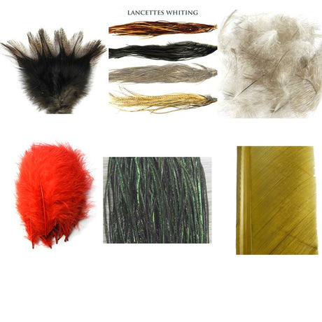 Plumes-Quill-Biots