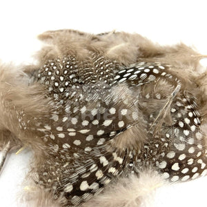 Perdrix / Grouse / Autres