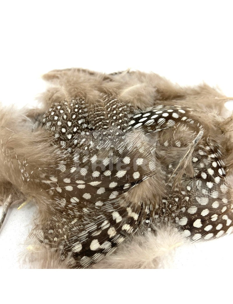 Perdrix / Grouse / Autres