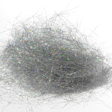 Holographic dub argent