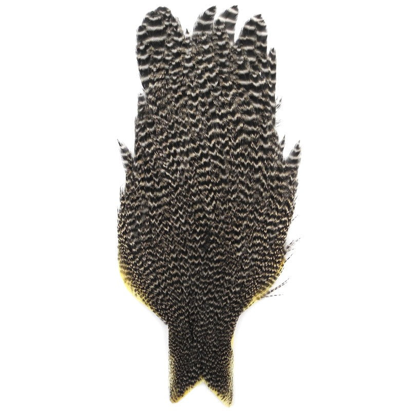 Cou de poule Whiting grizzly  